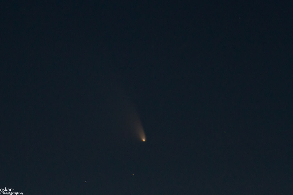 PANSTARRS, halastjarna