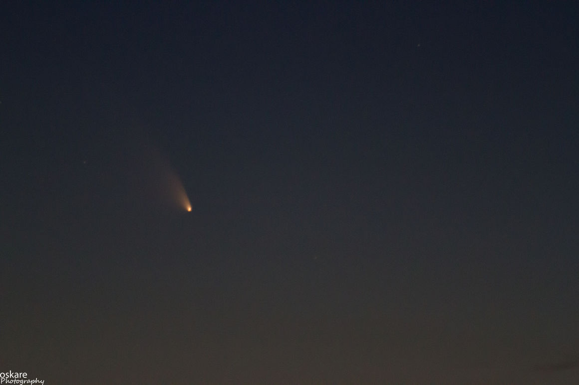 PANSTARRS, halastjarna