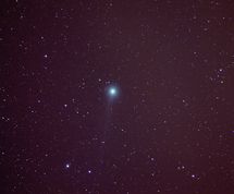 Halastjarnan Lovejoy. Mynd: Jón Sigurðsson