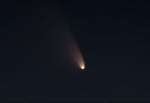 PANSTARRS, halastjarna