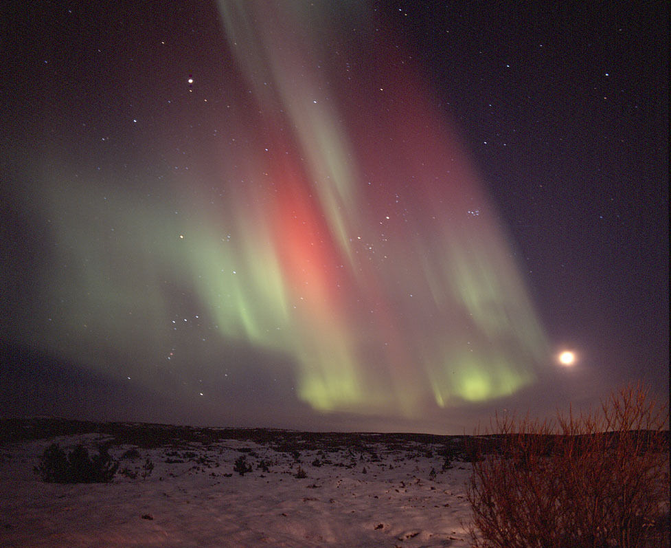 norðurljós