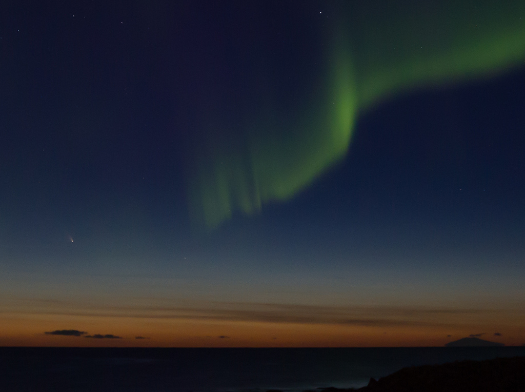 PANSTARRS, halastjarna