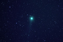 Halastjarnan Lovejoy. Mynd: Jón Sigurðsson